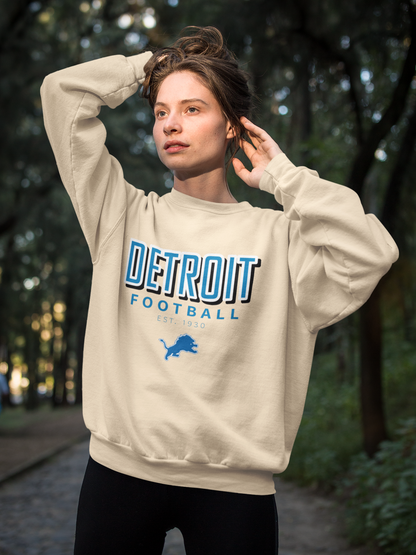 Vintage Football Sweatshirt | Detroit Lions